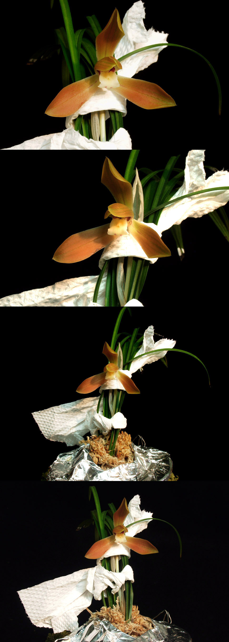 ������ ū������ �� �� �ֽ��ϴ�.